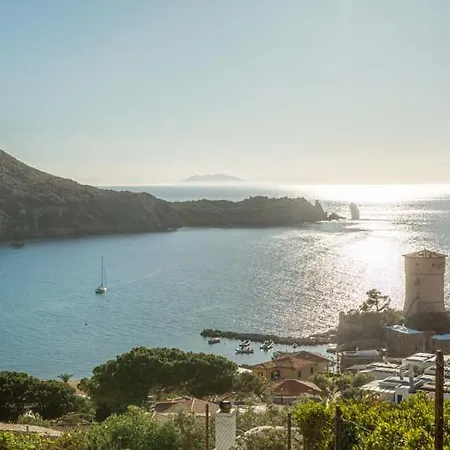 Giglio 1